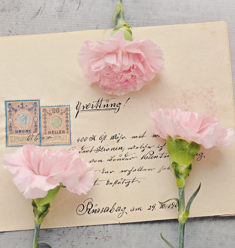 Three small pink flowers lying on a vintage postcard featuring cursive text and decorative stamps. 