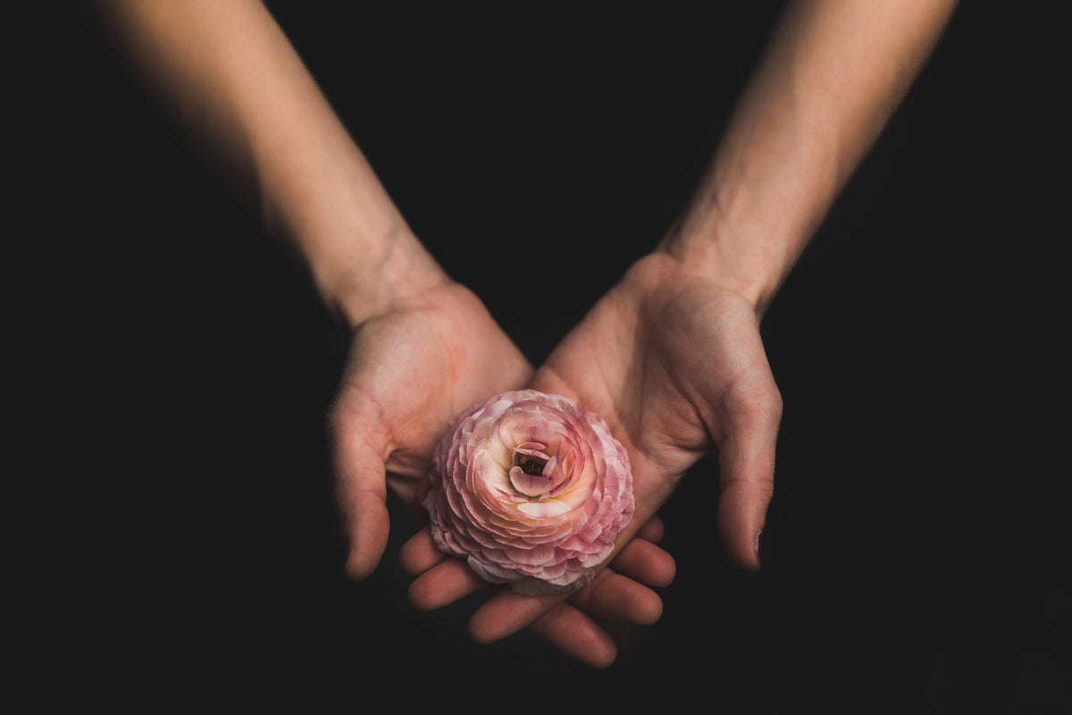 A pair of slender hands holds a pink flower, palms facing up, on a dark background. 